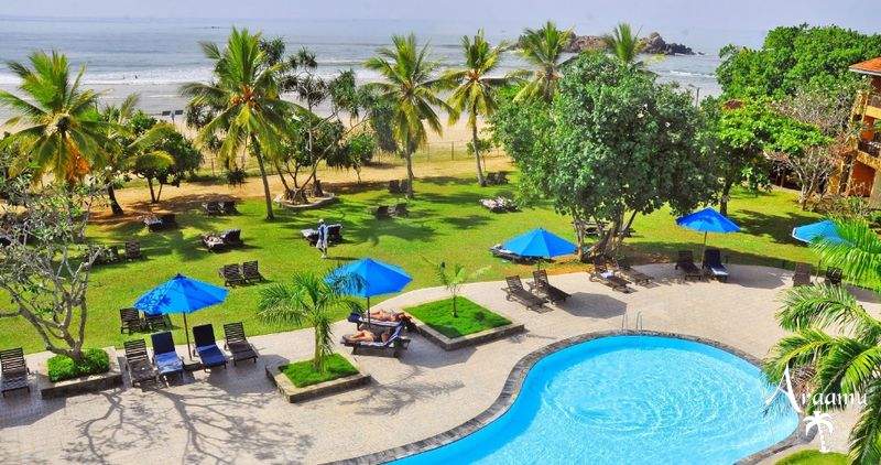 Sri Lanka, The Palms****